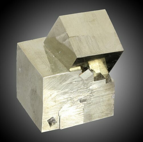 Pyrite Cube Cluster - Navajun, Spain #31008